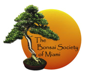 Bonsai Society of Miami